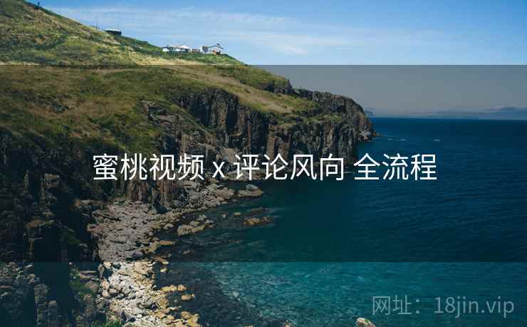 蜜桃视频 x 评论风向 全流程