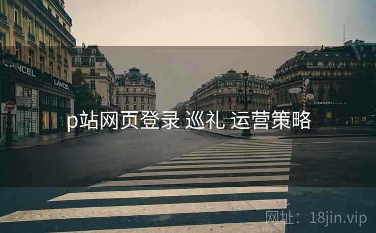 p站网页登录 巡礼 运营策略