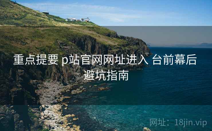 重点提要 p站官网网址进入 台前幕后 避坑指南