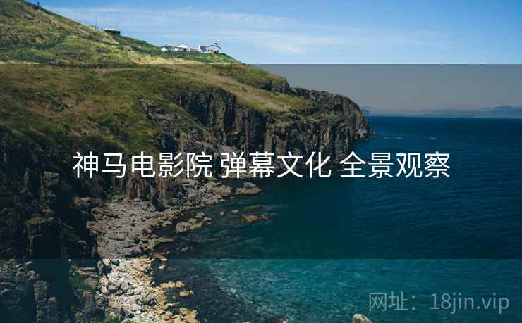 神马电影院 弹幕文化 全景观察