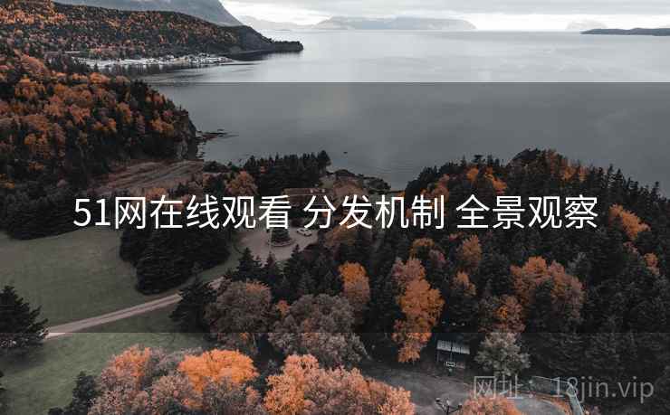 51网在线观看 分发机制 全景观察