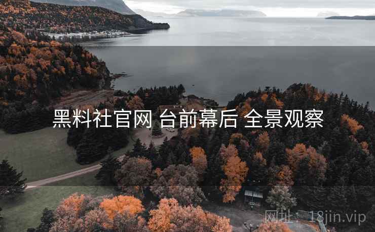 黑料社官网 台前幕后 全景观察