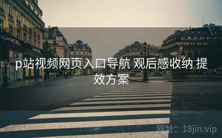 p站视频网页入口导航 观后感收纳 提效方案