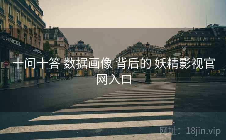 十问十答 数据画像 背后的 妖精影视官网入口