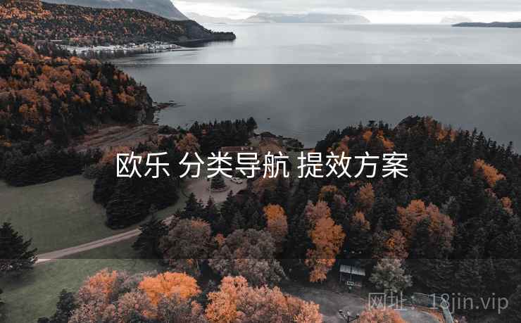 欧乐 分类导航 提效方案