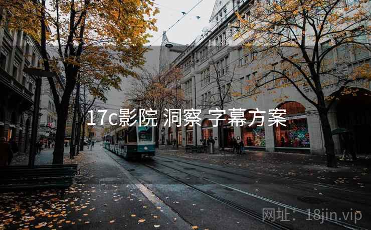 17c影院 洞察 字幕方案