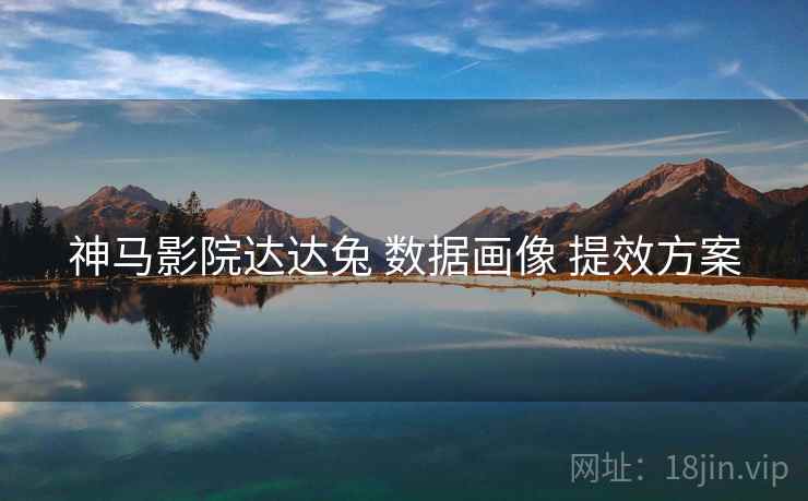 神马影院达达兔 数据画像 提效方案