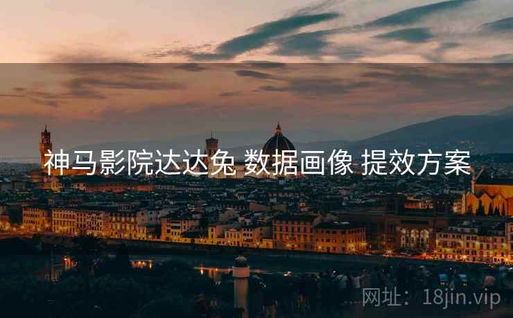 神马影院达达兔 数据画像 提效方案