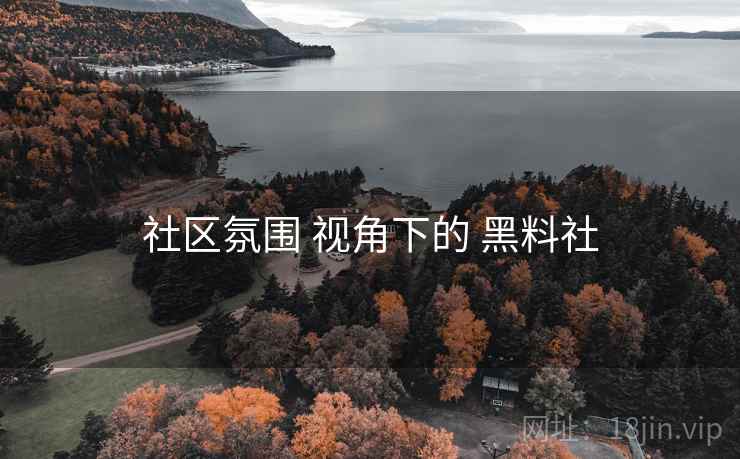 社区氛围 视角下的 黑料社