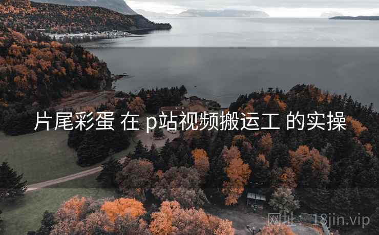 片尾彩蛋 在 p站视频搬运工 的实操