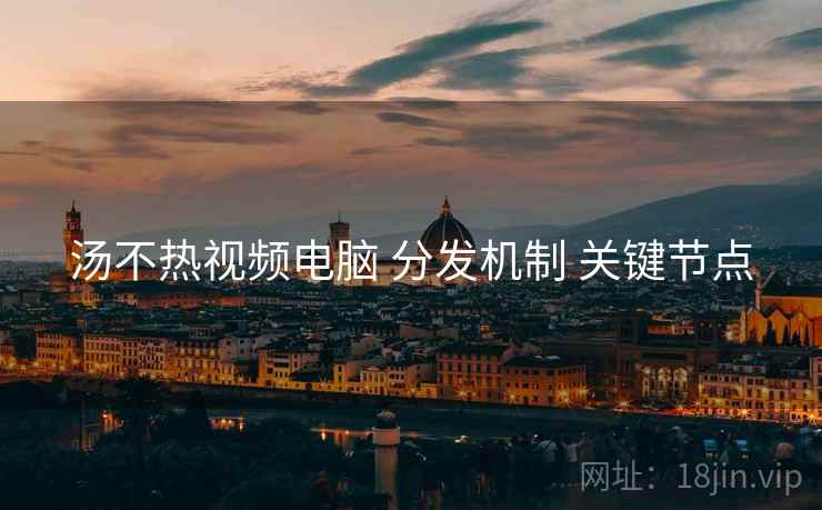 汤不热视频电脑 分发机制 关键节点