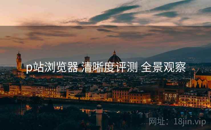 p站浏览器 清晰度评测 全景观察