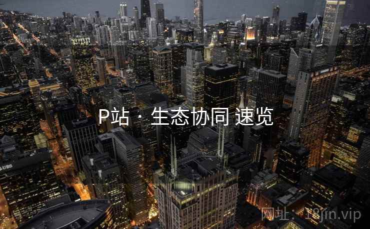 P站 · 生态协同 速览