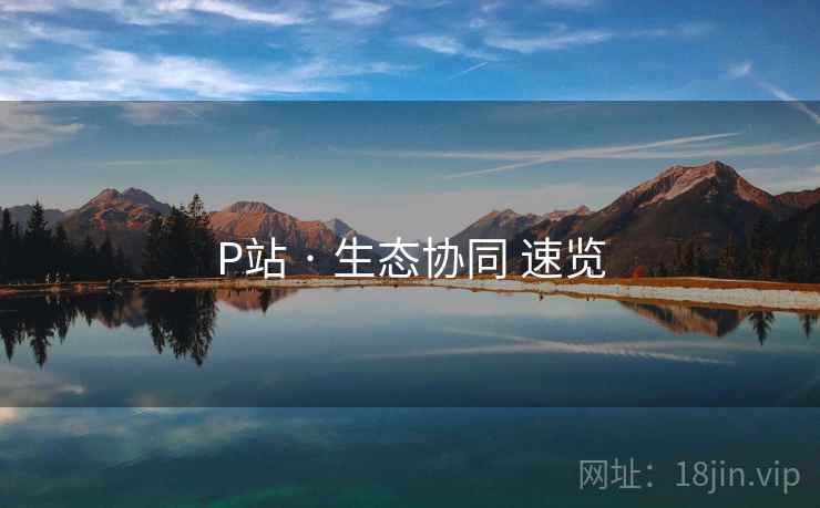 P站 · 生态协同 速览