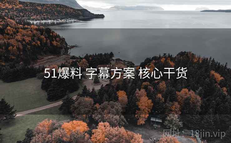 51爆料 字幕方案 核心干货
