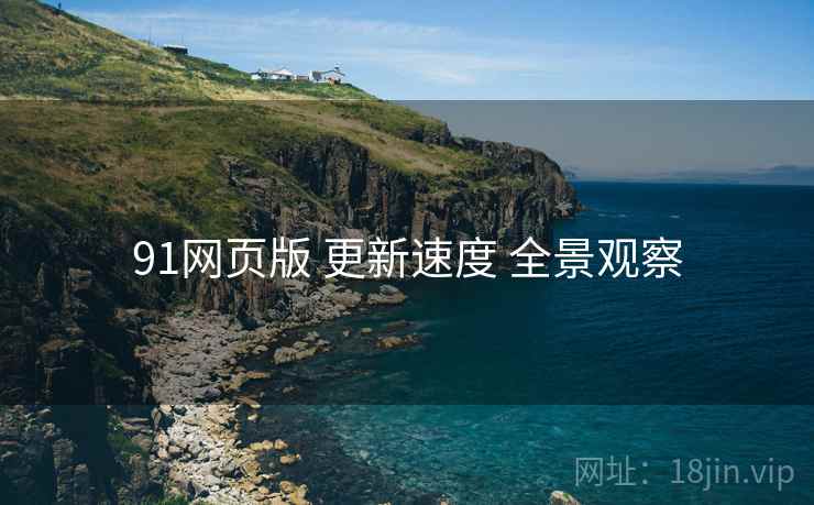 91网页版 更新速度 全景观察