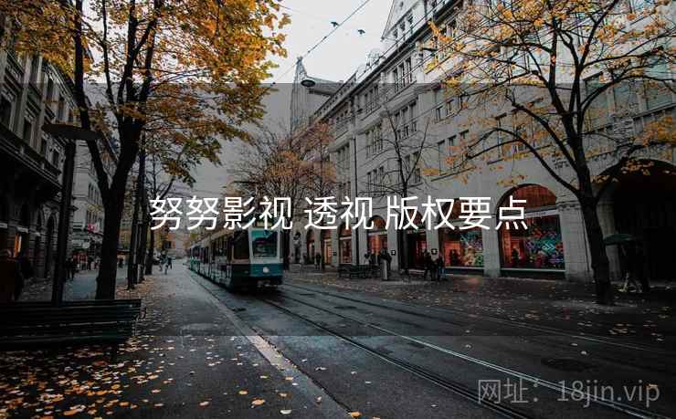 努努影视 透视 版权要点