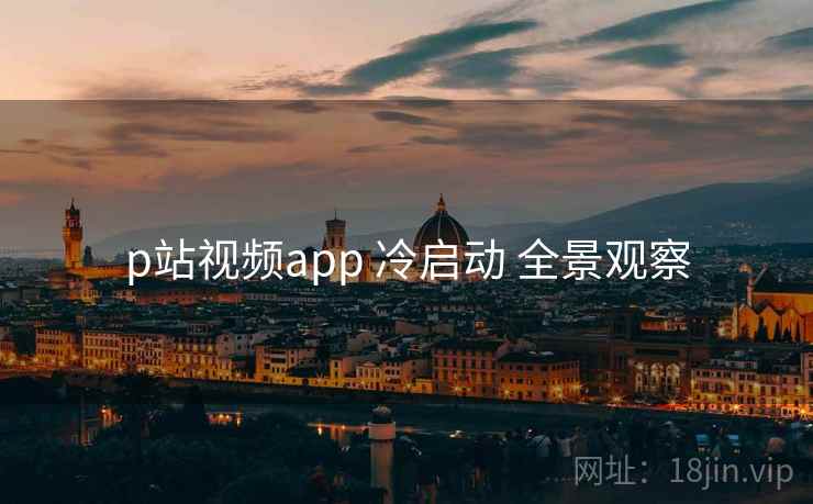 p站视频app 冷启动 全景观察
