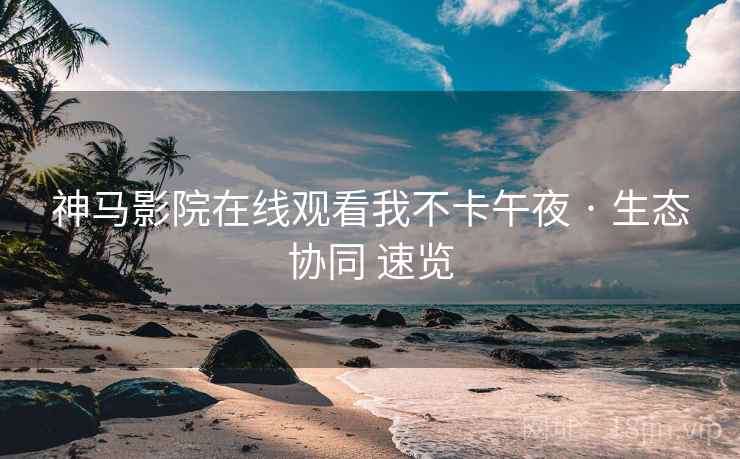 神马影院在线观看我不卡午夜 · 生态协同 速览