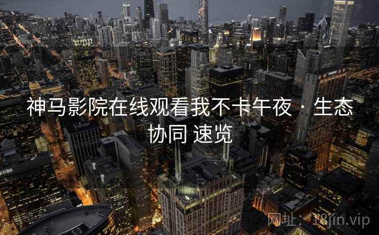 神马影院在线观看我不卡午夜 · 生态协同 速览